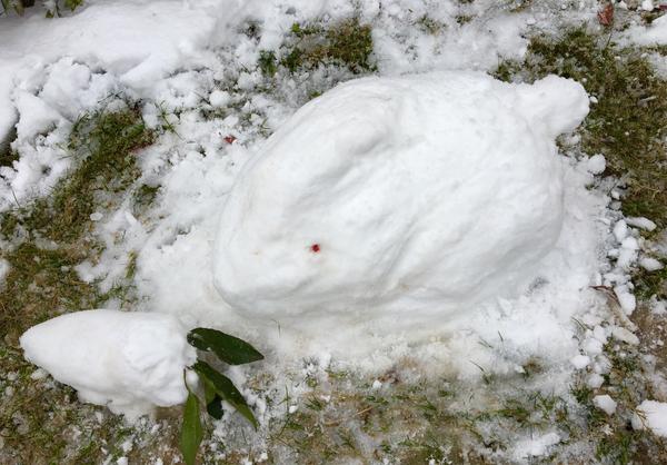 雪花和雪粒哪个更容易堆雪人