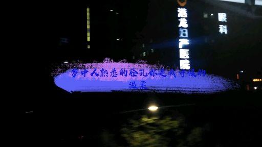 经典电影剧(咏春)主题曲--黄种人