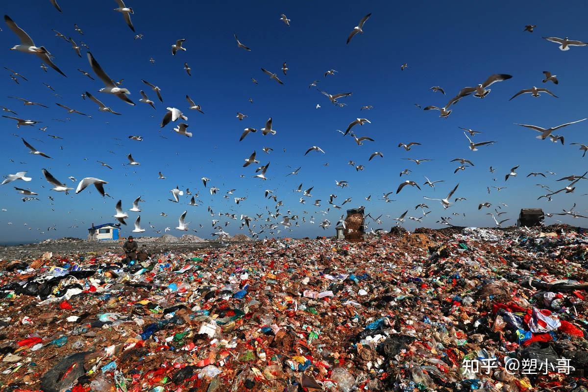 中国塑协曹俭不能把环境污染归结给塑料