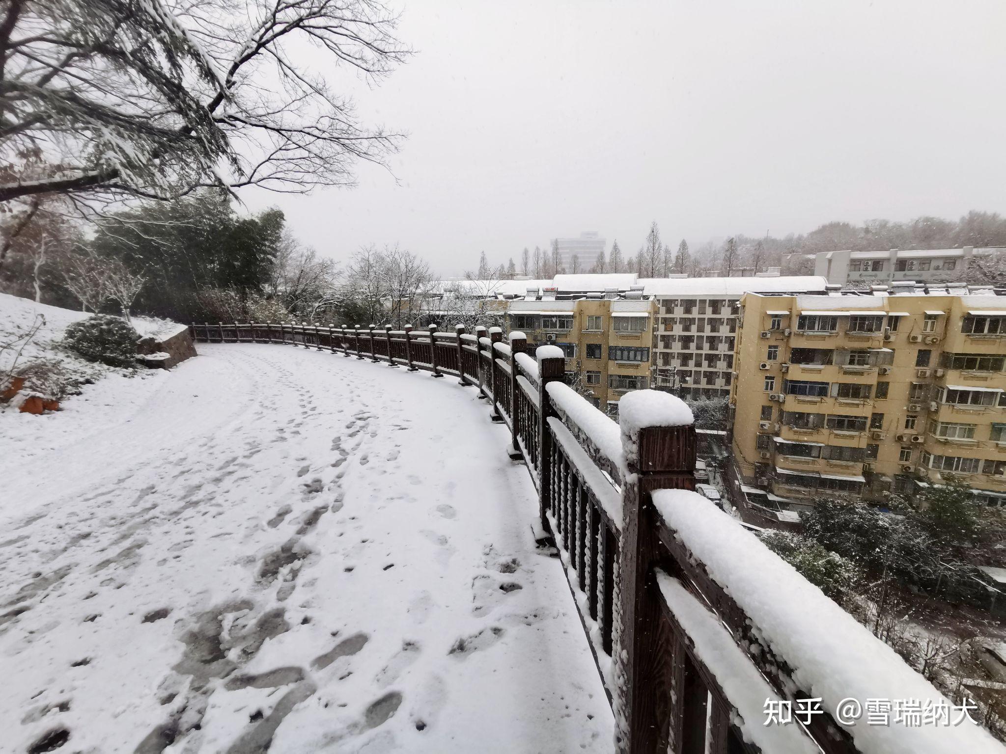 2022年2月7日南京迎来大雪你镜头下的雪中金陵是什么样的有过哪些关于