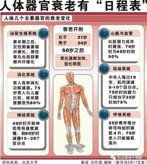 人体各器官衰老时间表