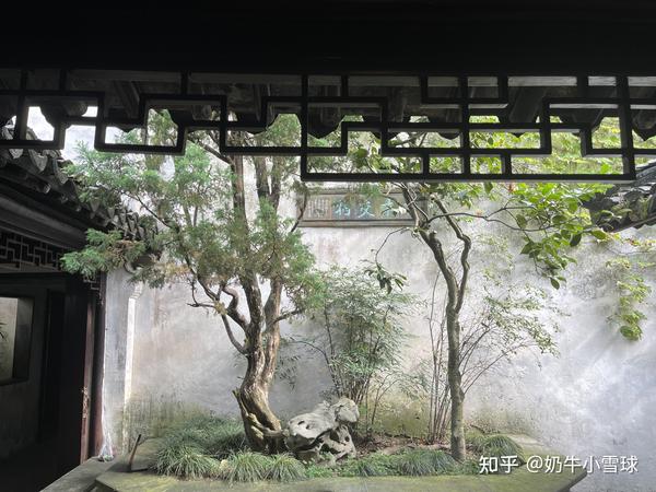 进门处就是原"留园十八景"之一的古木交柯: 古柏与女贞交柯连理,是