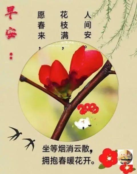8月8日微信群发早安祝福语简短短信最新最火八月早安祝福祝福表情图片