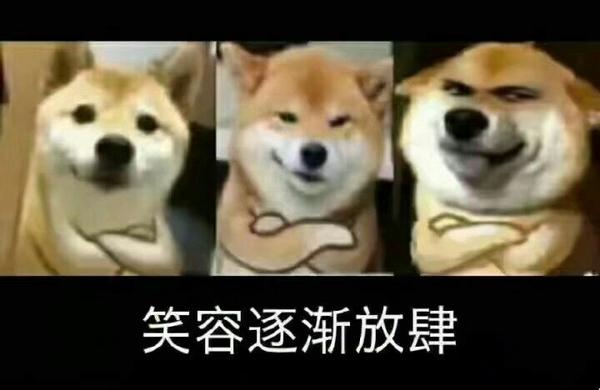 有哪些你认为沙雕搞笑的表情包?