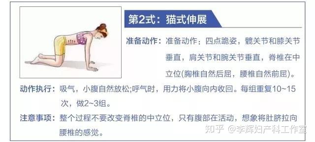 产后大肚腩回不去可能是腹直肌分离了