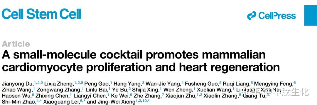 cell子刊熊敬维雷晓光赵世民合作开发出促进心脏再生和治疗心梗的小