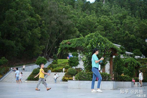 高州笔架山森林公园