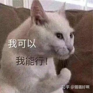 大家都有哪些沙雕猫的表情包哇?