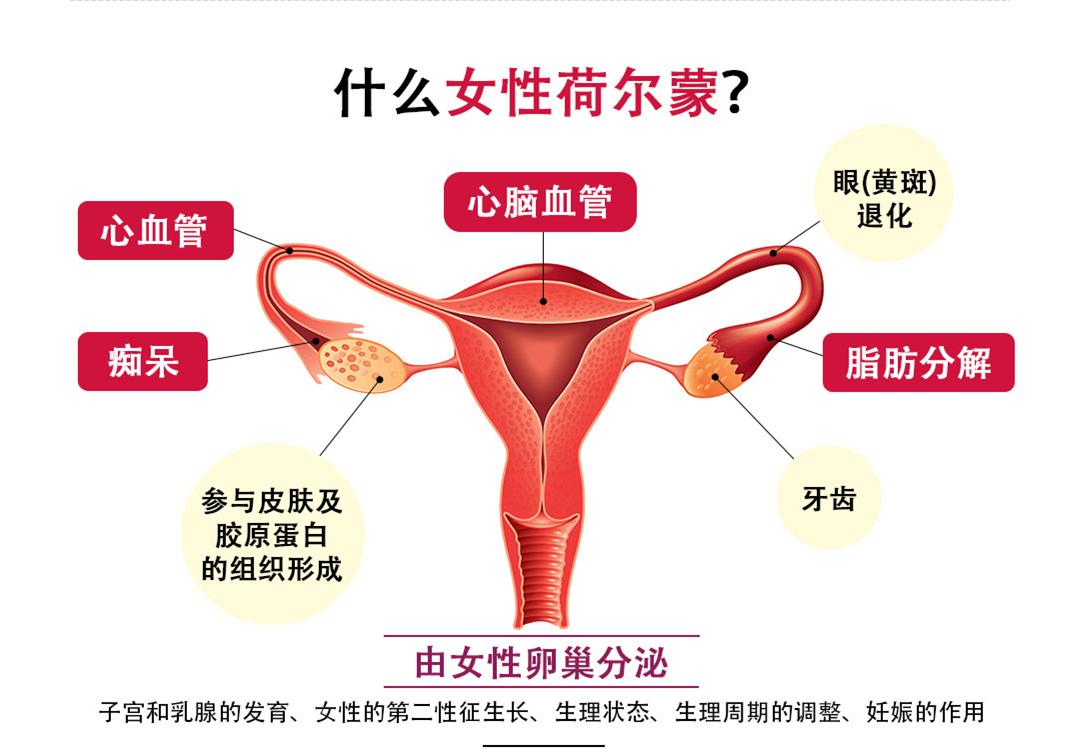 女性健康与美丽的秘密-女性荷尔蒙