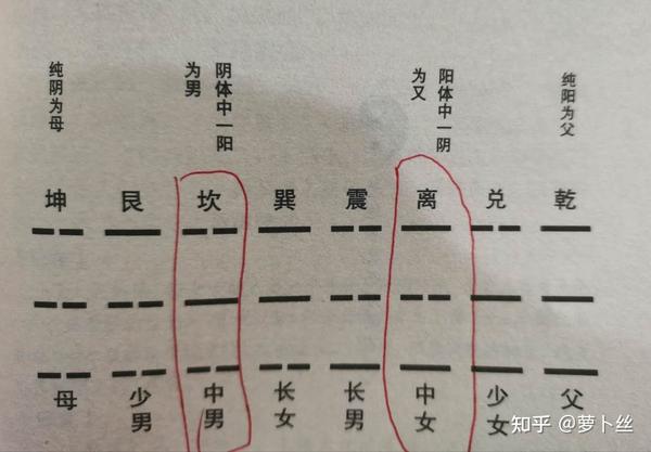 长男,震为雷(学习&读后感)