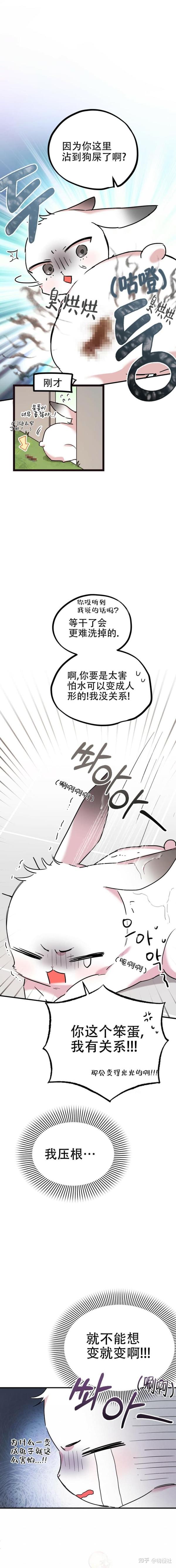 漫画《夏菲菲的兔子》《爱情调味品》