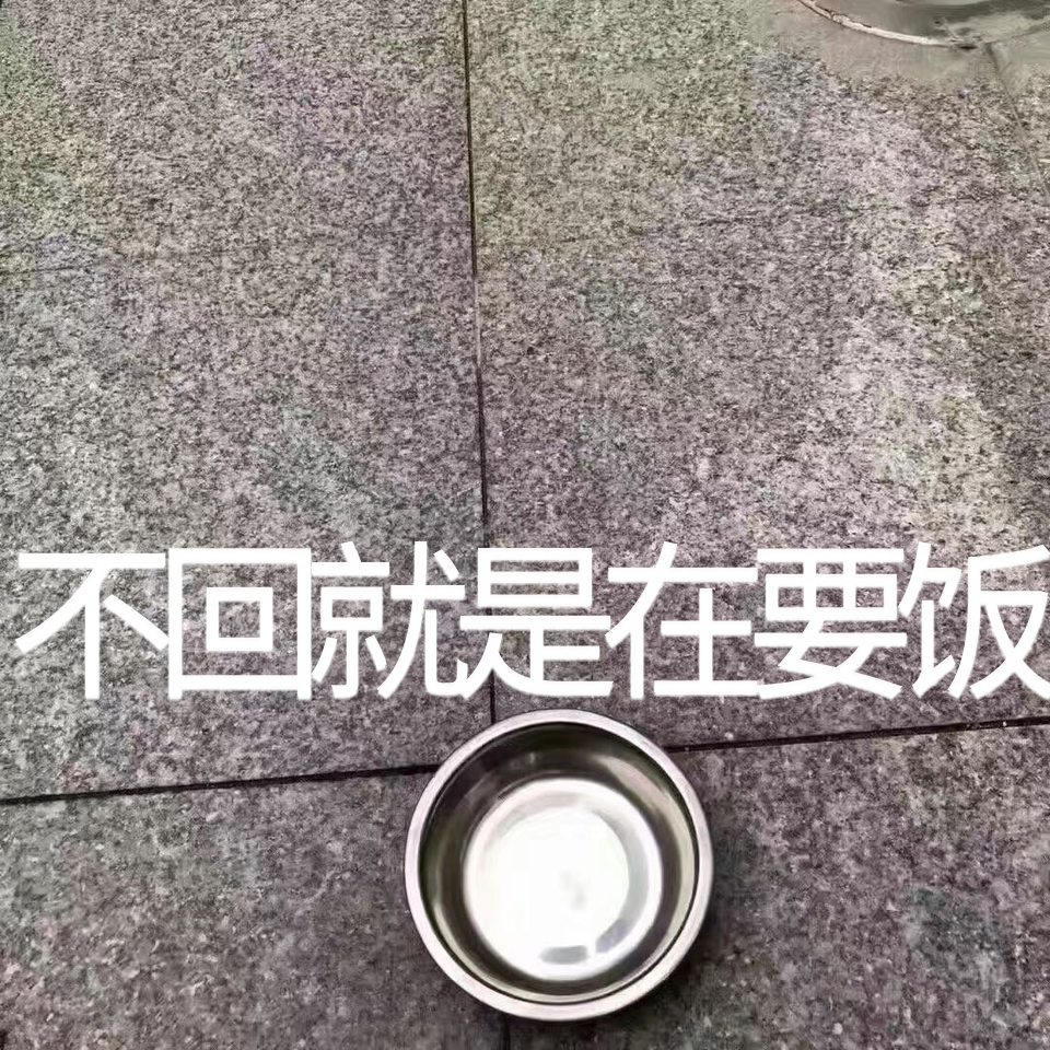 有什么一定要发到朋友圈的沙雕文案