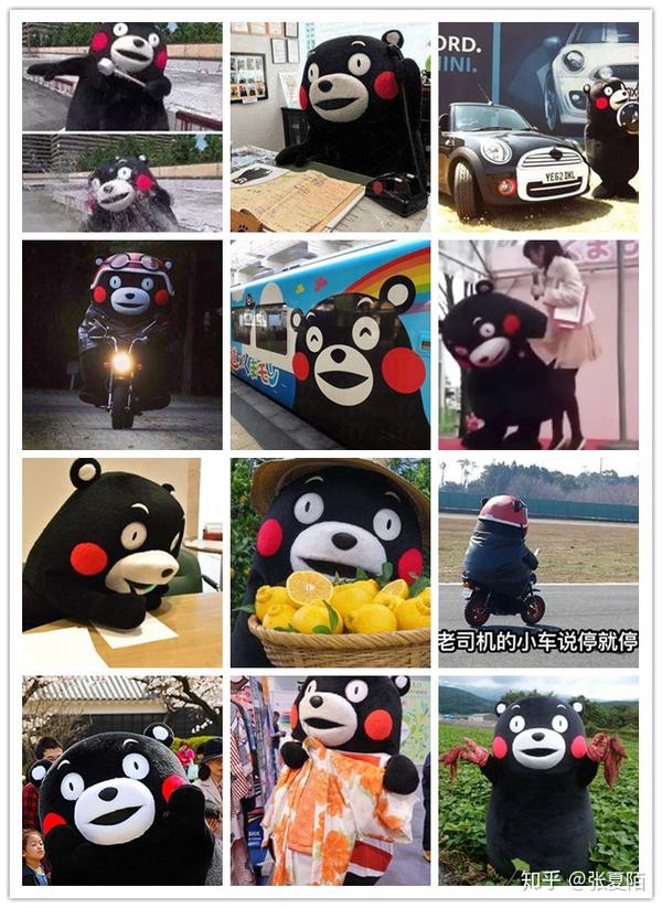 上海熊本熊kuma caf,你打卡了吗?