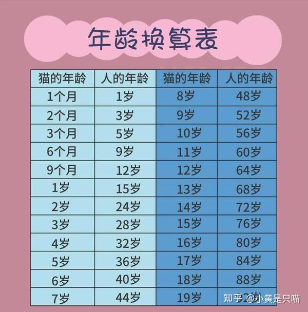 猫咪1岁=人的7岁,早已是过去式,附上最新的年龄换算表