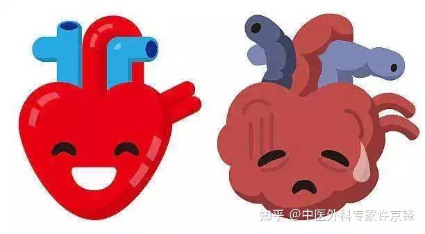 心输出量减少 zhuanlan.zhihu.com