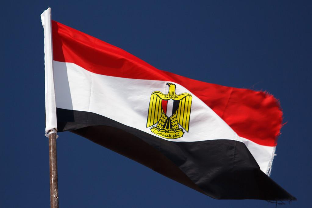 埃及财政部宣布推迟acid系统执行日至10月1号