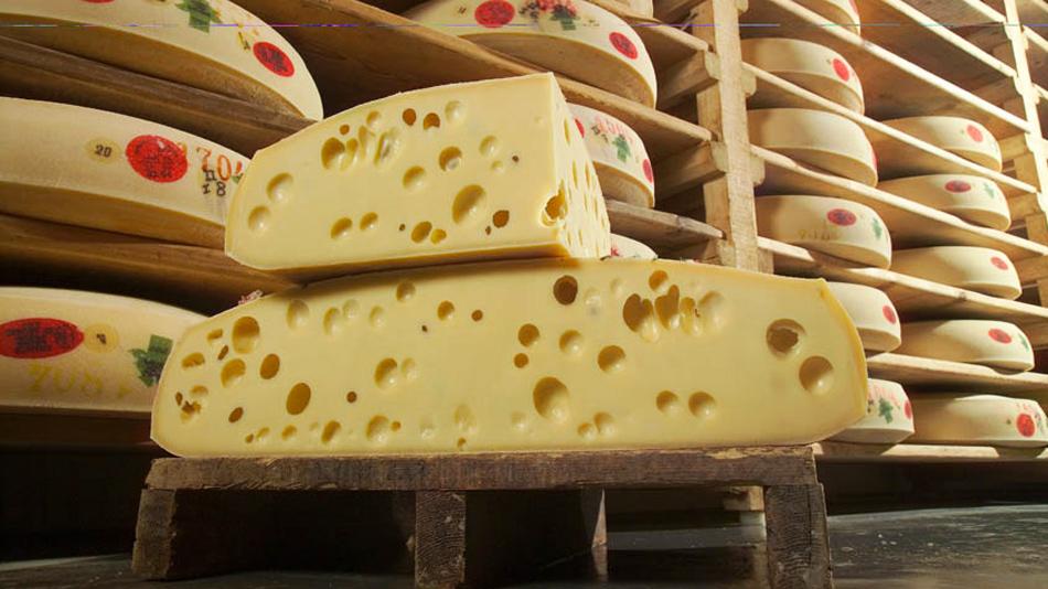 奶酪的制作过程和分类