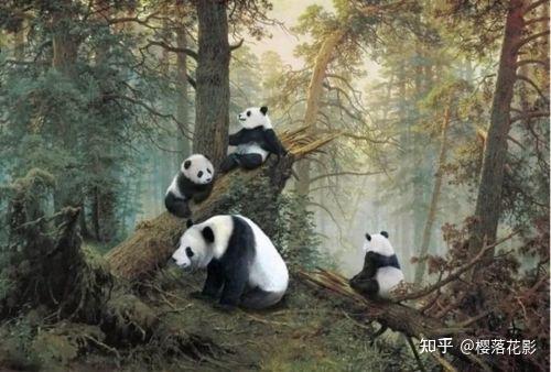 翻译松林中的熊猫俄罗斯网友如何看待中国越来越强而俄罗斯越来越弱势