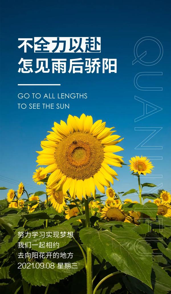 9月8日早安心语正能量超酷语录句子 美丽的早上好正能量问候语句子