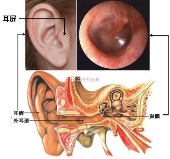 你的孩子十有八九没有外耳道