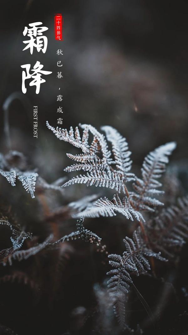 霜降将至唯美诗意的霜降文案与海报请查收