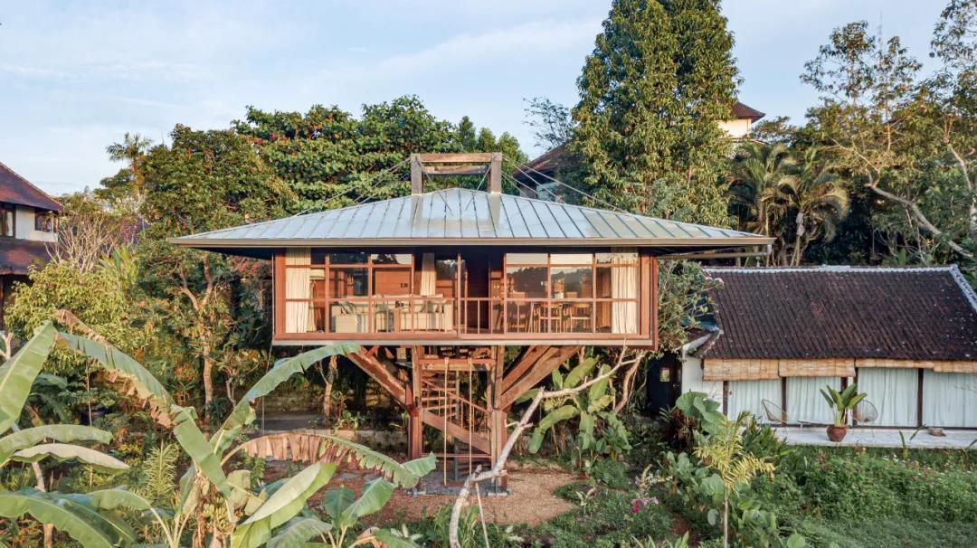 树屋设计参考印尼巴厘岛树屋c