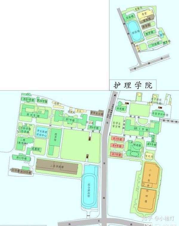 2.复旦大学枫林校区