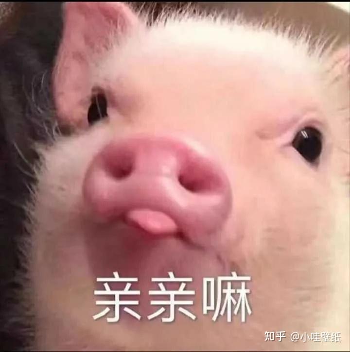 有没有情侣之间用的亲亲的表情包