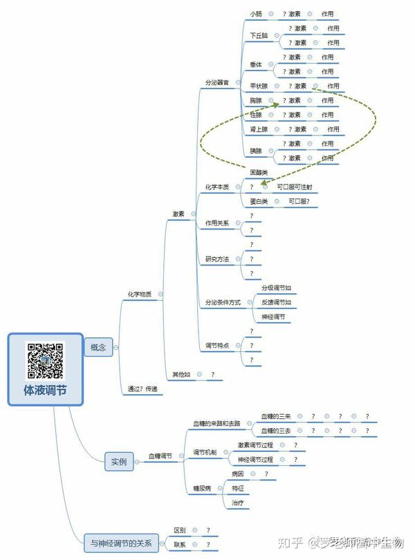 神经调节体液调节植物激素调节思维导图