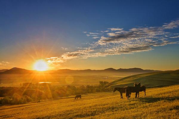 张北草原 落日下的山坡   让人直想喂马劈柴周游世界