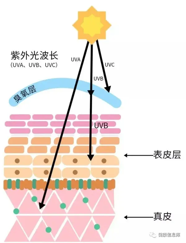 什么是紫外线辐射?