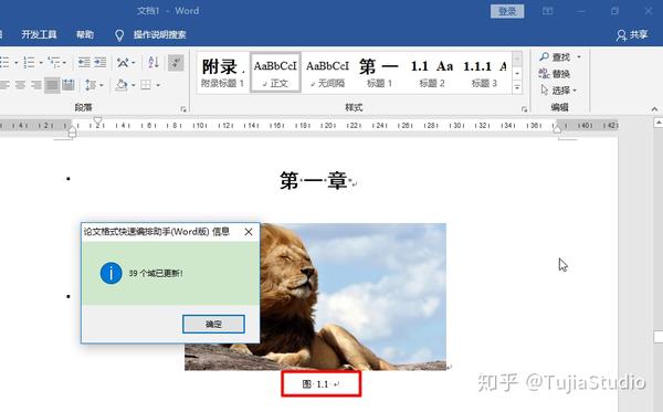 word 中的题注如何从 图一.1 变为 图1.