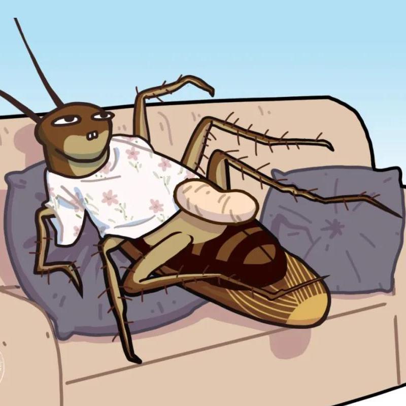 为什么家里总是有蟑螂?