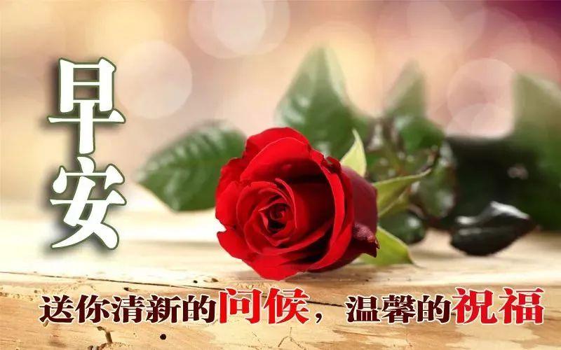2021年早上好问候祝福语短信最美早安问候表情图片带字唯美