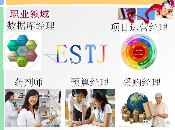 estj的职业特长