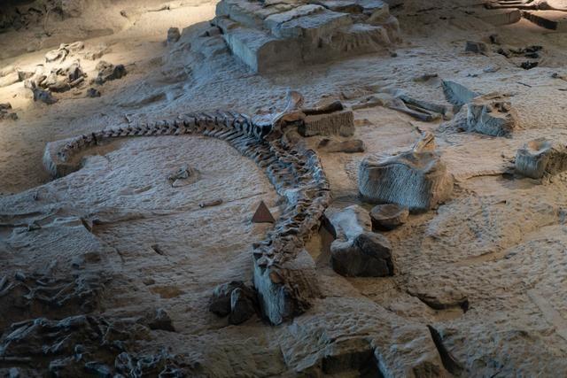 四川这个城市可以看到1.6亿年前的化石遗迹,四大恐龙坟墓之一