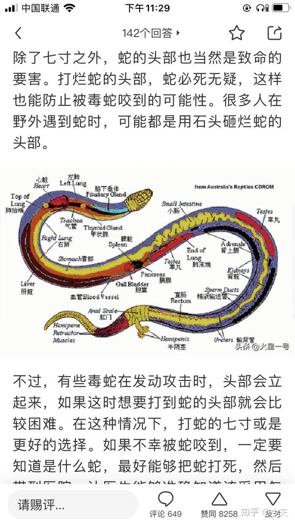 打蛇打七寸对吗