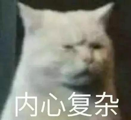 有哪些可爱到哭泣的猫咪图片或者表情包?