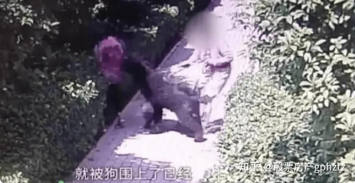 安阳狗咬人有了下文狗证和警棍尚待说清楚