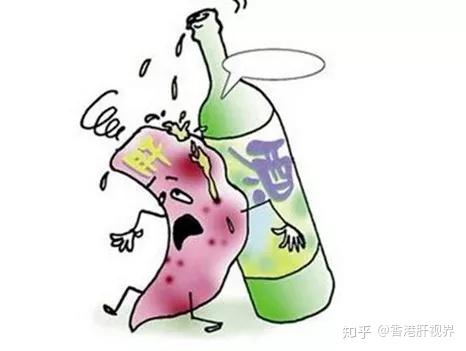 因酗酒引起的酒精性脂肪肝更容易发展为肝硬化