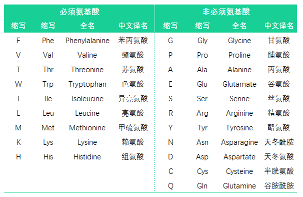 氨基酸分类