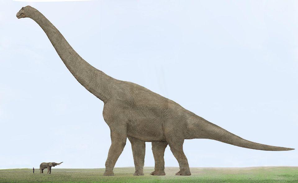 迄今最大恐龙化石出土比37米长巴塔格龙更大或为史上最大恐龙