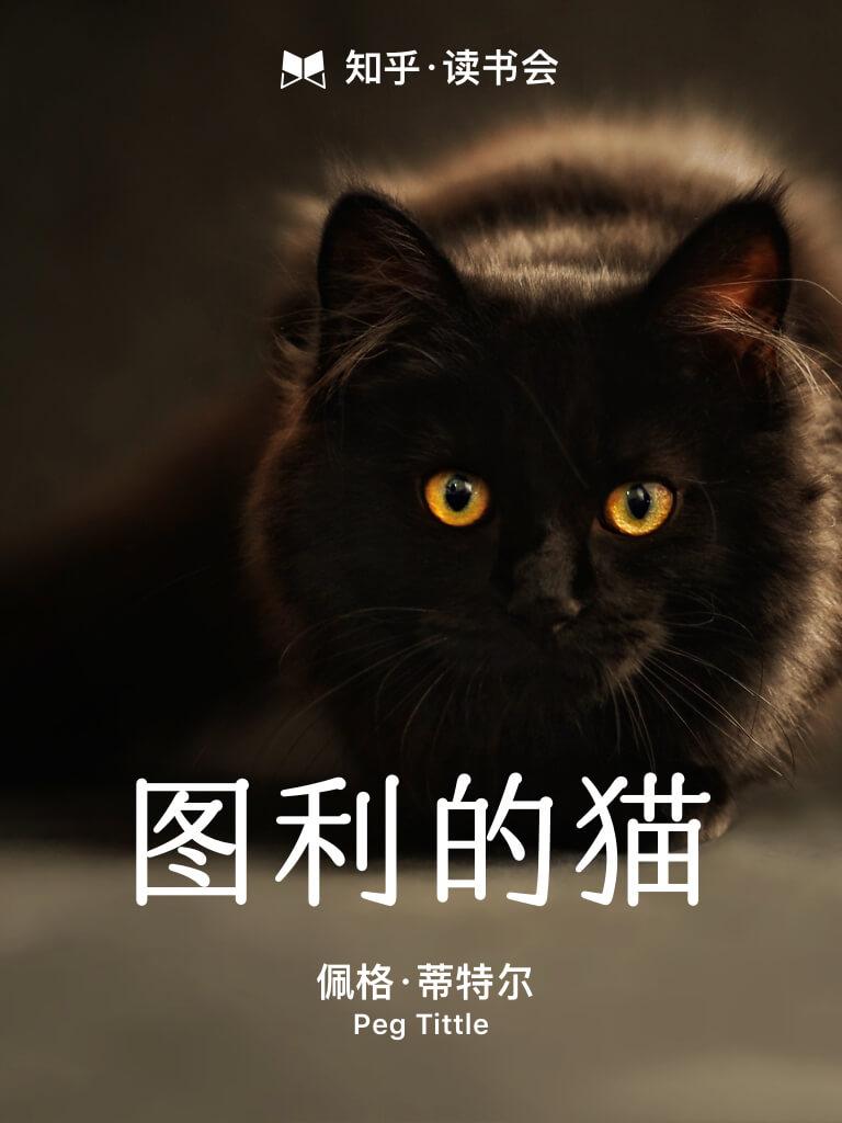 图利的猫