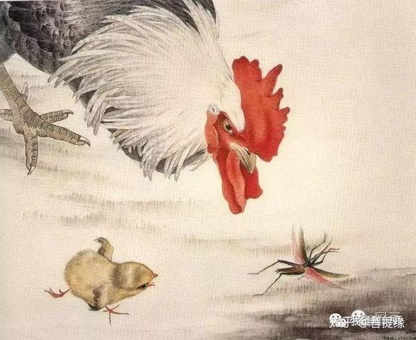 鸡的寓意 芦花鸡的尾上复羽 先以淡墨画出,逐步加重染成.