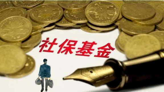 基金基金投资限制欧美社保是投资的情趣内衣社保高级番号图片