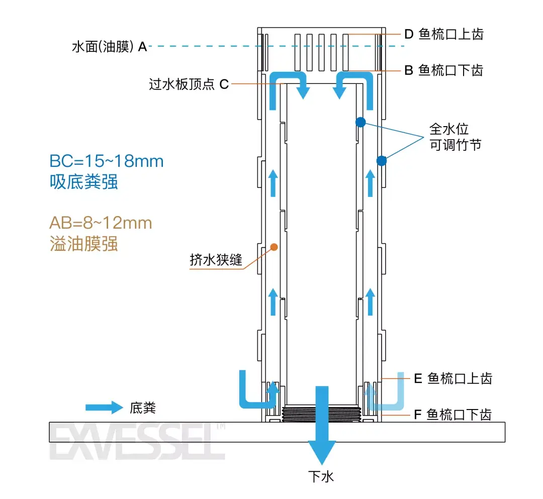 水族箱走油膜底粪原理讲解干货满满