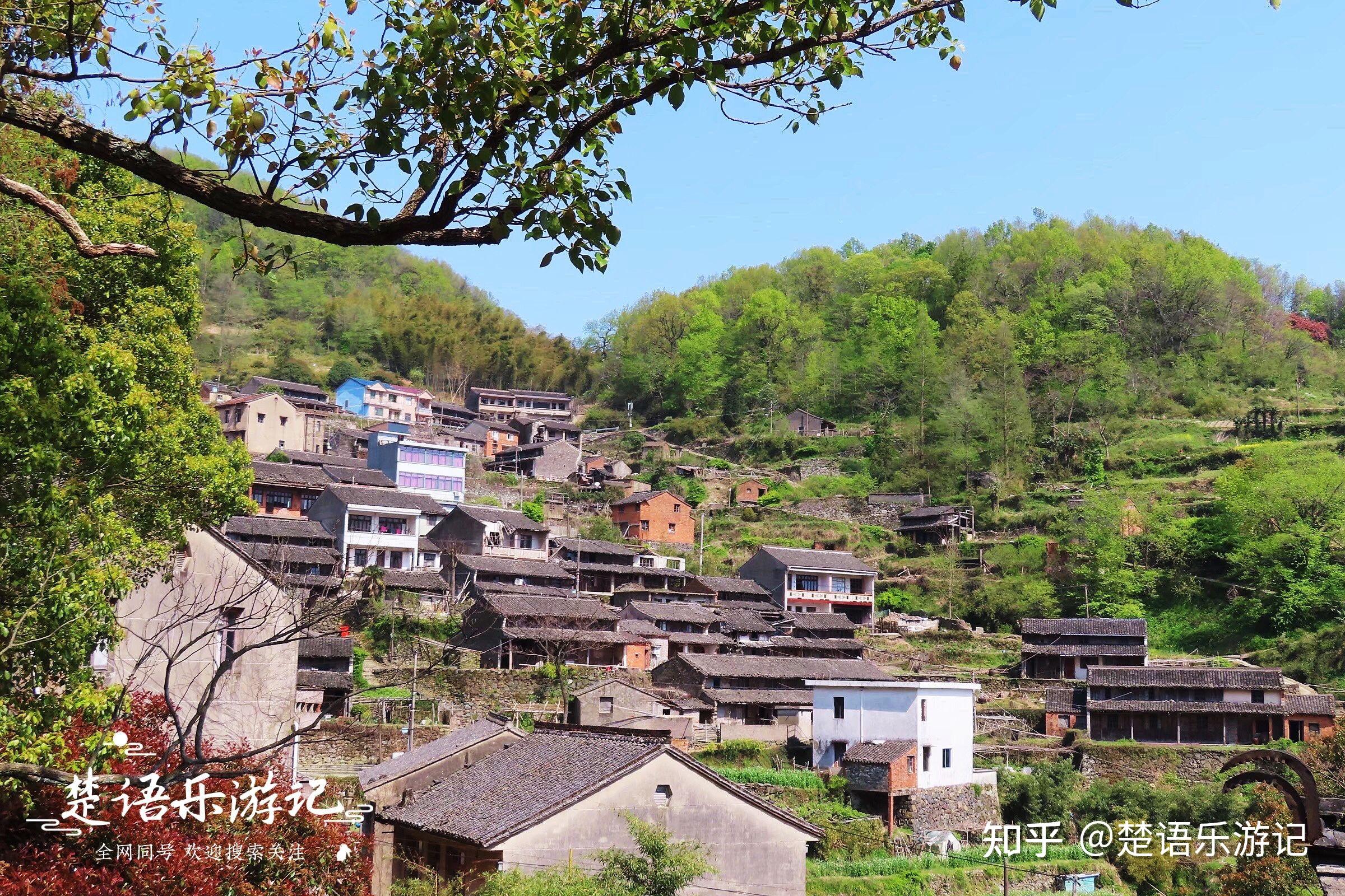 金山村坐落在一个迂回式的山岙里,背后是连绵的青山,前面是空旷的山谷