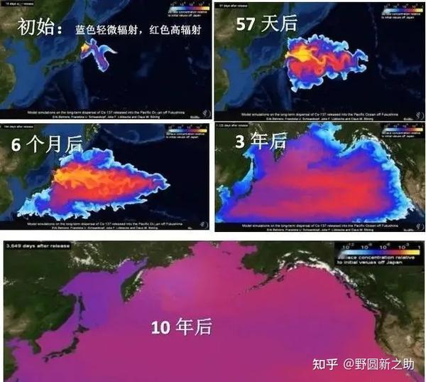 从图中可以看到,污水排出后仅10年, 更加恐怖的是,按照科学家估计