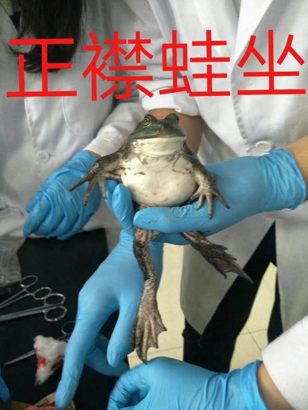 生物学学生专用表情包