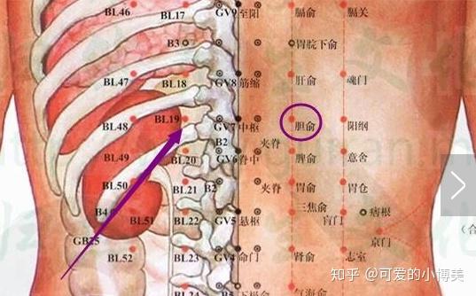 按摩治疗肾结石,缓解排石疼痛!每天按一按,培固下元